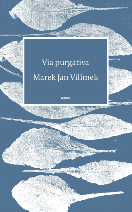 E-kniha Via purgativa - Marek Jan Vilímek