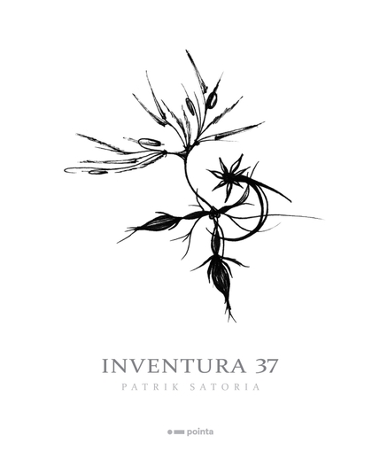 E-kniha Inventura 37 - Patrik Satoria