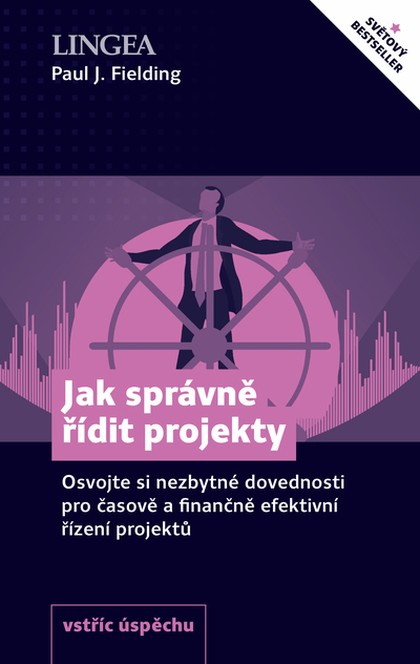 E-kniha Jak správně řídit projekty - Paul J. Fielding