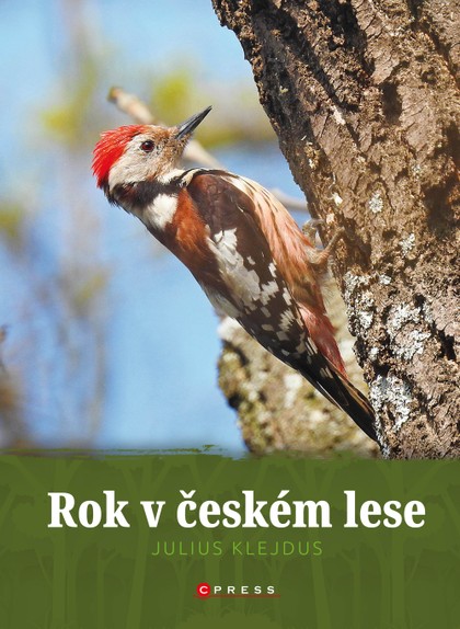 E-kniha Rok v českém lese -  kolektiv