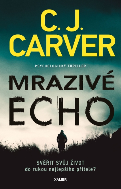 E-kniha Mrazivé echo - C. J. Carver