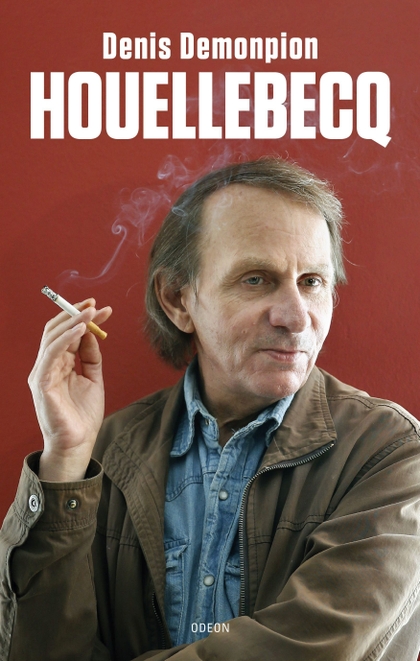 E-kniha Houellebecq - Denis Demonpion