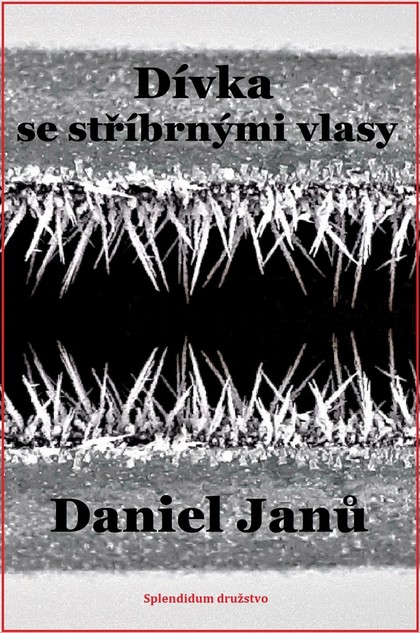 E-kniha Dívka se stříbrnými vlasy - Daniel  Janů