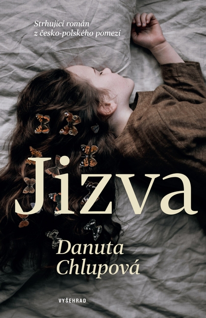 E-kniha Jizva - Danuta Chlupová