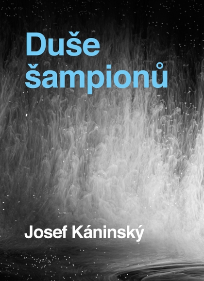 E-kniha Duše šampionů - Josef Kaninský