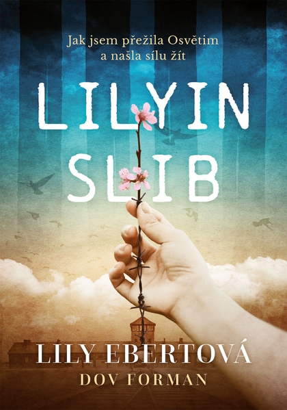 E-kniha Lilyin slib - Lily Ebert