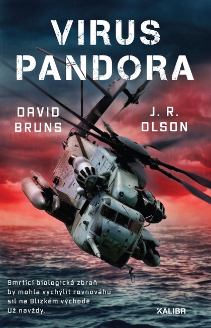 E-kniha Virus Pandora - David Bruns, J. R. Olson