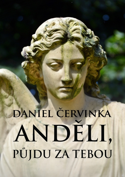 E-kniha Anděli, půjdu za tebou - Daniel Červinka