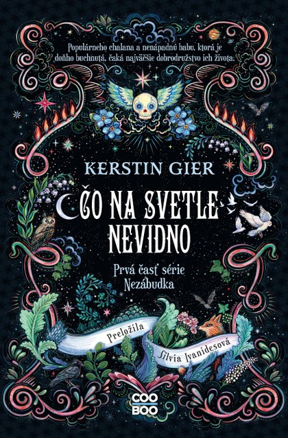 E-kniha Čo na svetle nevidno - Kerstin Gierová