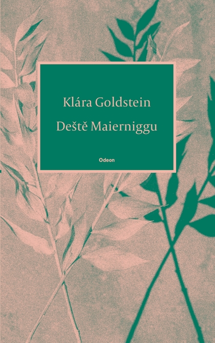 E-kniha Deště Maierniggu - Klára Goldstein