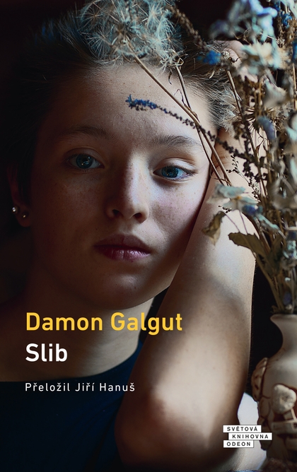 E-kniha Slib - Damon Galgut