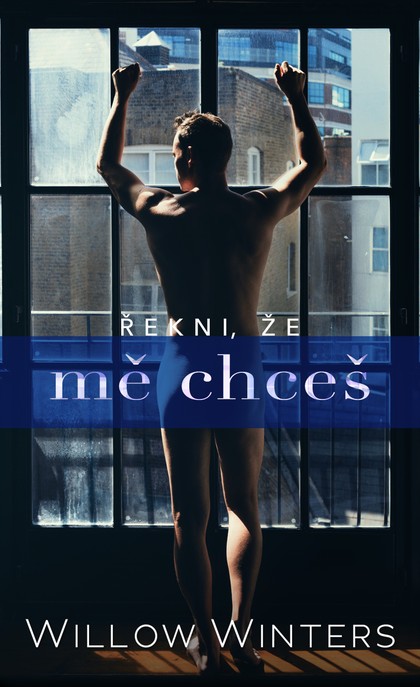 E-kniha Řekni, že mě chceš - Willow Winters