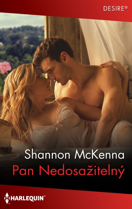 E-kniha Pan Nedosažitelný - Shannon McKenna