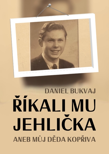 E-kniha Říkali mu Jehlička - Daniel Bukvaj