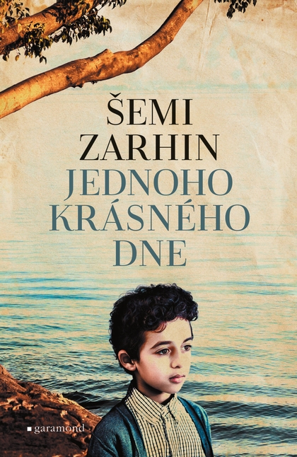 E-kniha Jednoho krásného dne - Šemi Zarhin