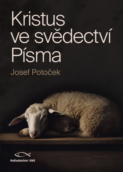 E-kniha Kristus ve svědectví Písma - Ing. Josef Potoček