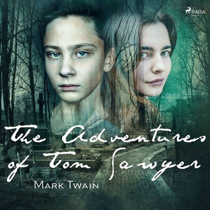 E-kniha The Adventures of Tom Sawyer - Mark Twain