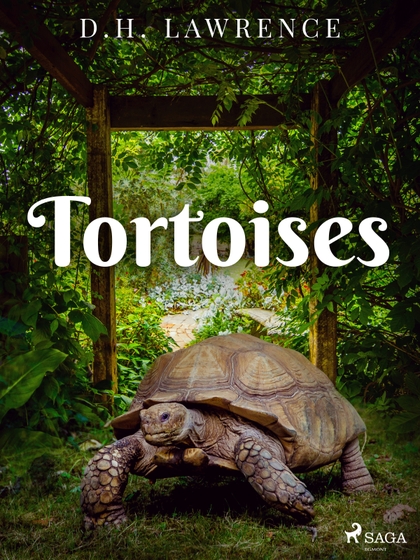 E-kniha Tortoises - D.H. Lawrence