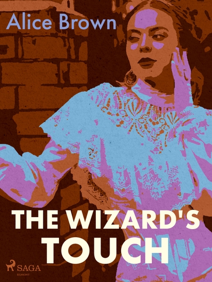 E-kniha The Wizard's Touch - Alice Brown