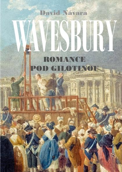 E-kniha Wavesbury - David Návara