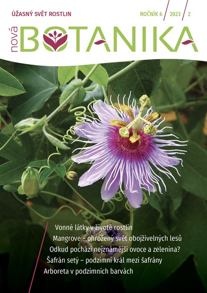 E-kniha Nová Botanika -  Botanica Nova, z.s. a kolektiv autorů