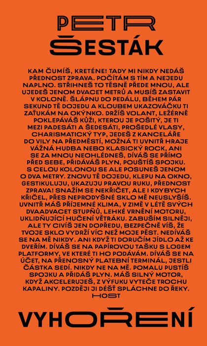 E-kniha Vyhoření - Petr Šesták