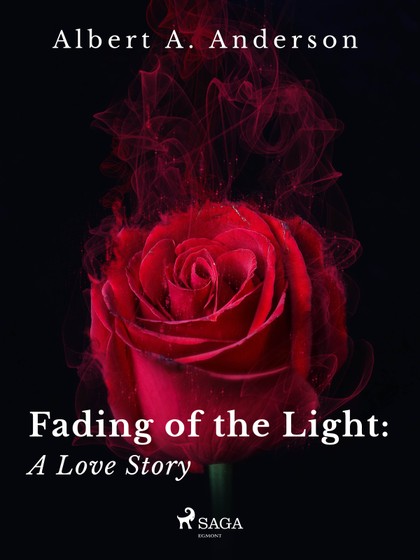 E-kniha Fading of the Light: A Love Story - Albert A. Anderson