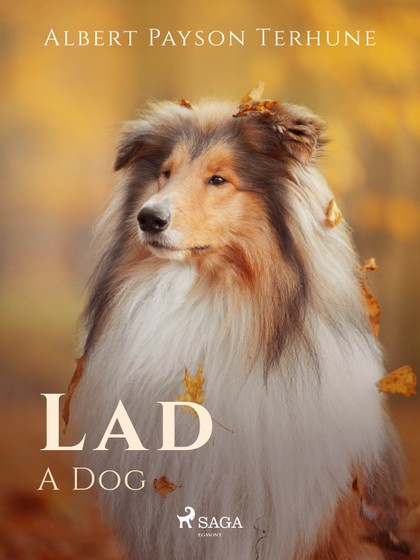 E-kniha Lad: A Dog - Albert Payson Terhune