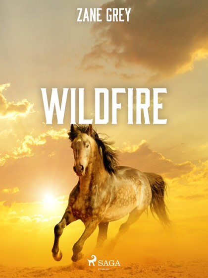 E-kniha Wildfire - Zane Grey