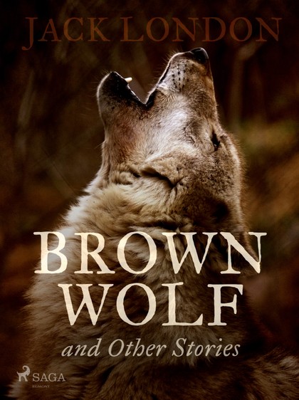 E-kniha Brown Wolf and Other Stories - Jack London