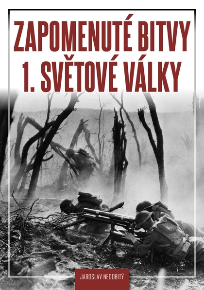 E-kniha Zapomenuté bitvy 1. světové války - Jaroslav Nedobitý