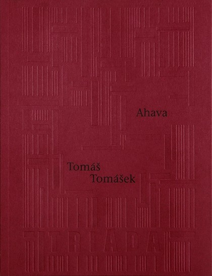 E-kniha Ahava - Tomáš Tomášek