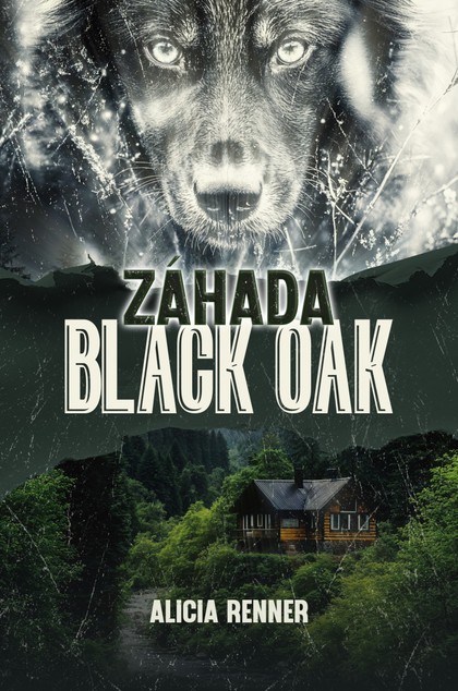 E-kniha Záhada Black Oak - Alicia Renner