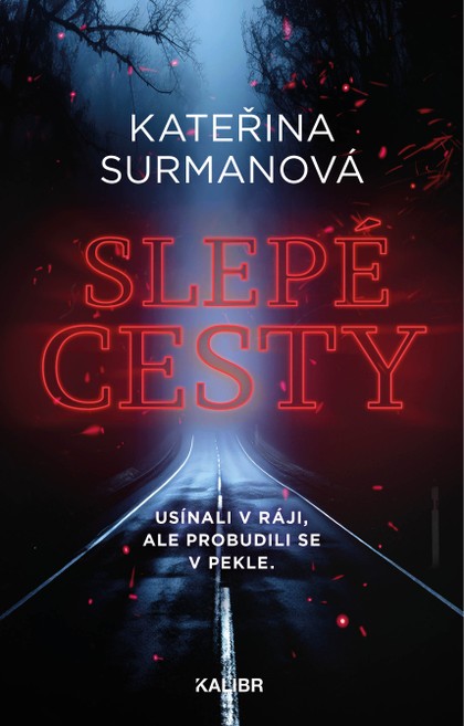 E-kniha Slepé cesty - Kateřina Surmanová