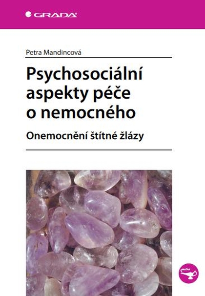 E-kniha Psychosociální aspekty péče o nemocného - Petra Mandincová