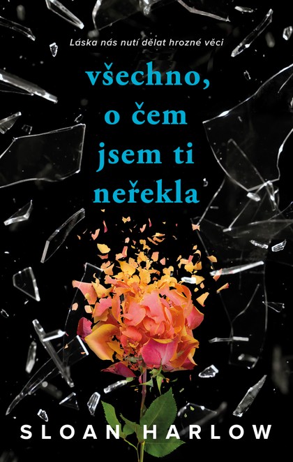 E-kniha Všechno, o čem jsem ti neřekla - Sloan Harlow