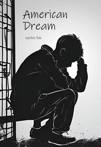 E-kniha American dream - Vojtěch Žák