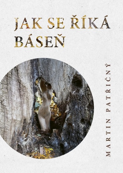 E-kniha Jak se říká kniha - Martin Patřičný