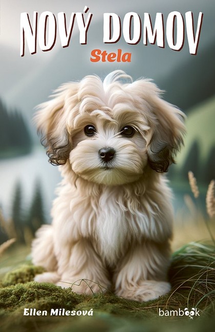 E-kniha Nový domov – Stela - Ellen Milesová