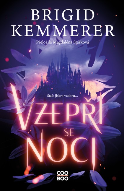 E-kniha Vzepři se noci - Brigid Kemmerer