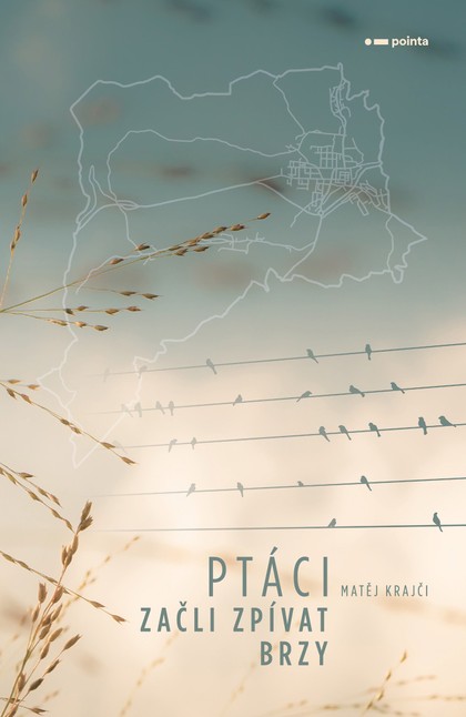 E-kniha Ptáci začli zpívat brzy - Matěj Krajči