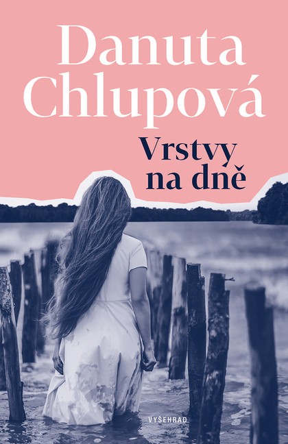 E-kniha Vrstvy na dně - Danuta Chlupová