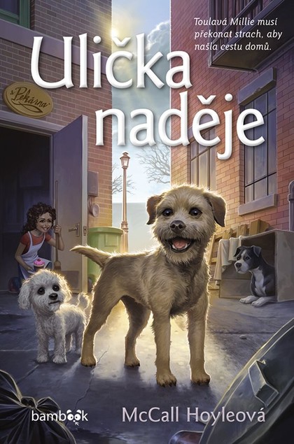 E-kniha Ulička naděje - McCall Hoyleová
