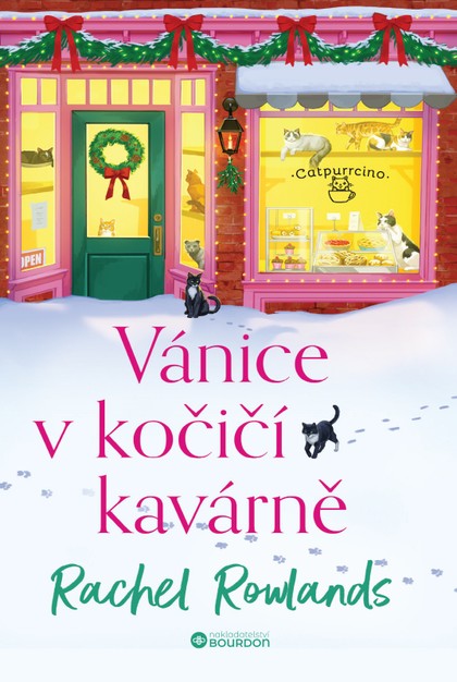 E-kniha Vánice v kočičí kavárně - Rachel Rowlands