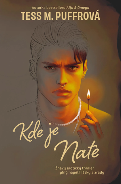 E-kniha Kde je Nate - Tess M. Puffrová