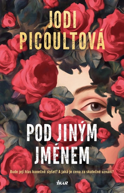 E-kniha Pod jiným jménem - Jodi Picoult