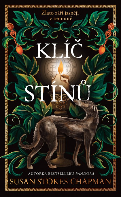 E-kniha Klíč stínů - Susan Stokes-Chapman