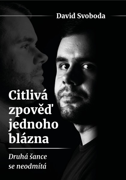 E-kniha Citlivá zpověď jednoho blázna  - David Svoboda