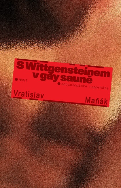 E-kniha S Wittgensteinem v gay sauně - Vratislav Maňák
