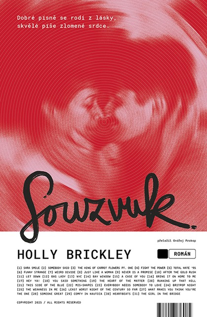 E-kniha Souzvuk - Holly Brickley